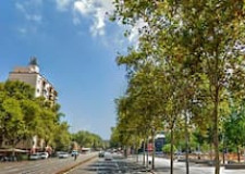 Avenida del Paralelo Avenida del Paralelo