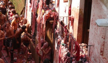 La Tomatina